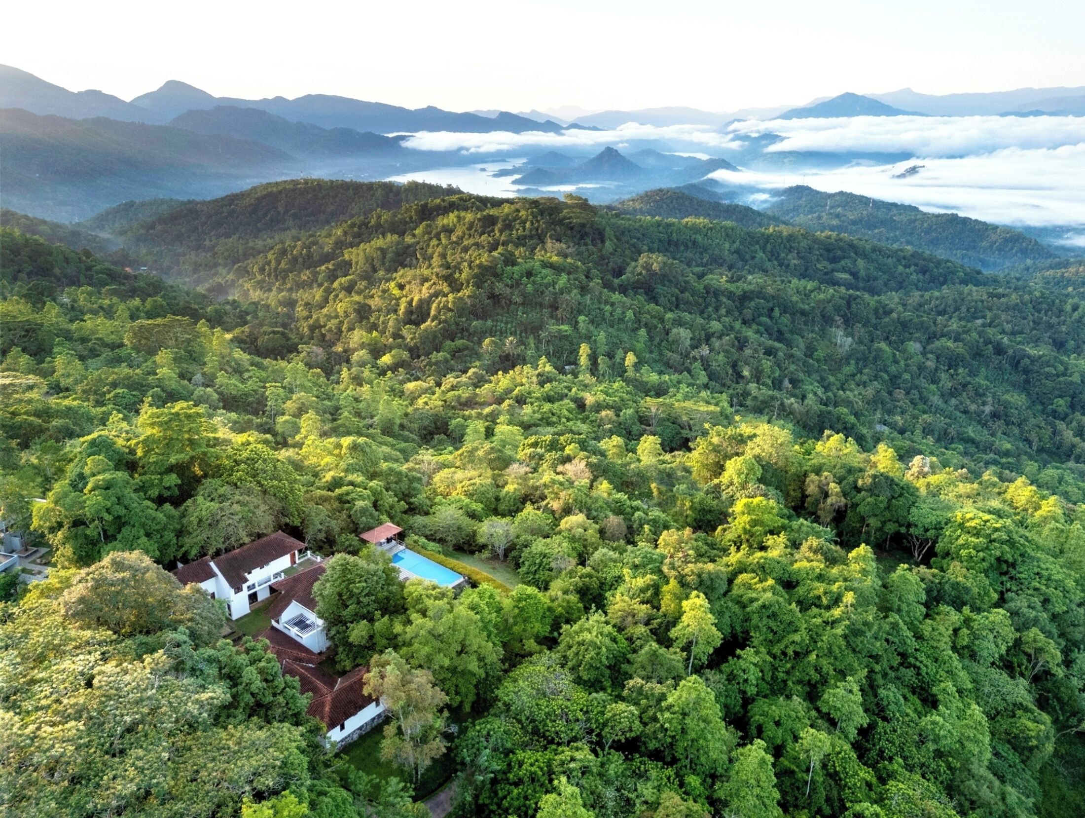 Vista aérea de una zona boscosa exuberante con un pequeño edificio y una piscina.