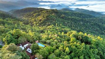 Vista aérea de una zona boscosa exuberante con un pequeño edificio y una piscina.