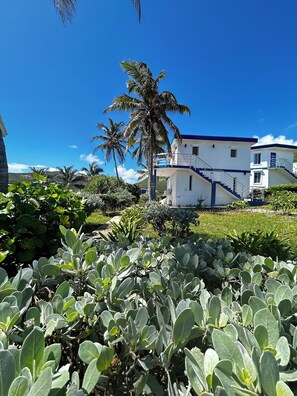 Property grounds - The Sound of the Sea (Guana Bay)