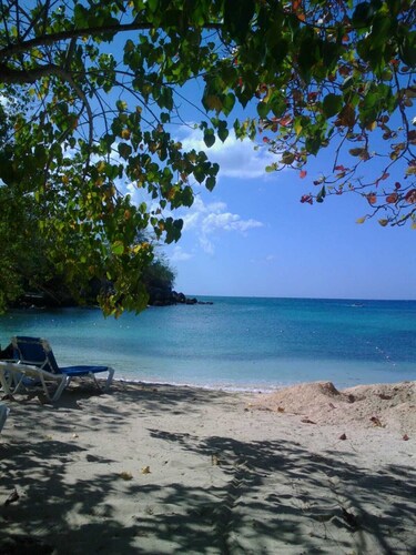 Shrimp shack! Little slice of heaven in negril jamaica!