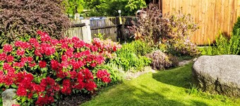 U Kohouta by Interhome