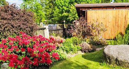 U Kohouta by Interhome