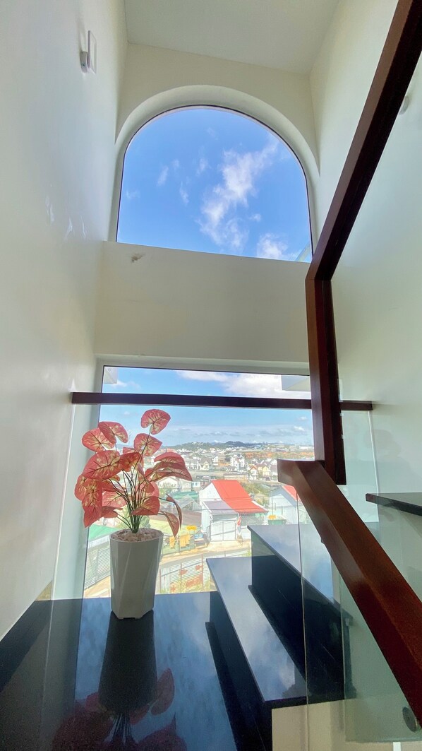 Un balcón con planta en maceta, baranda de vidrio y vista a un paisaje urbano.