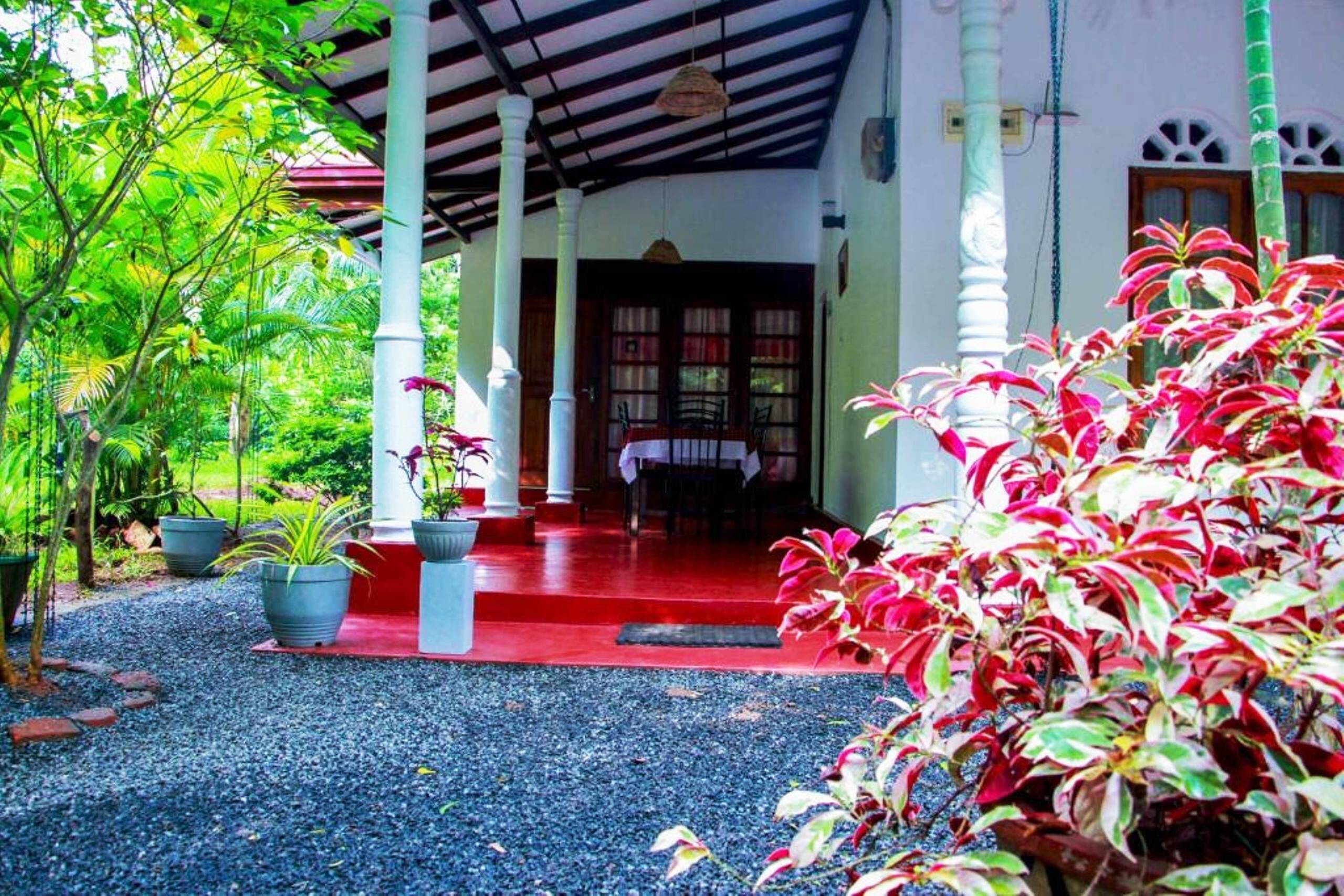 テラス / パティオ