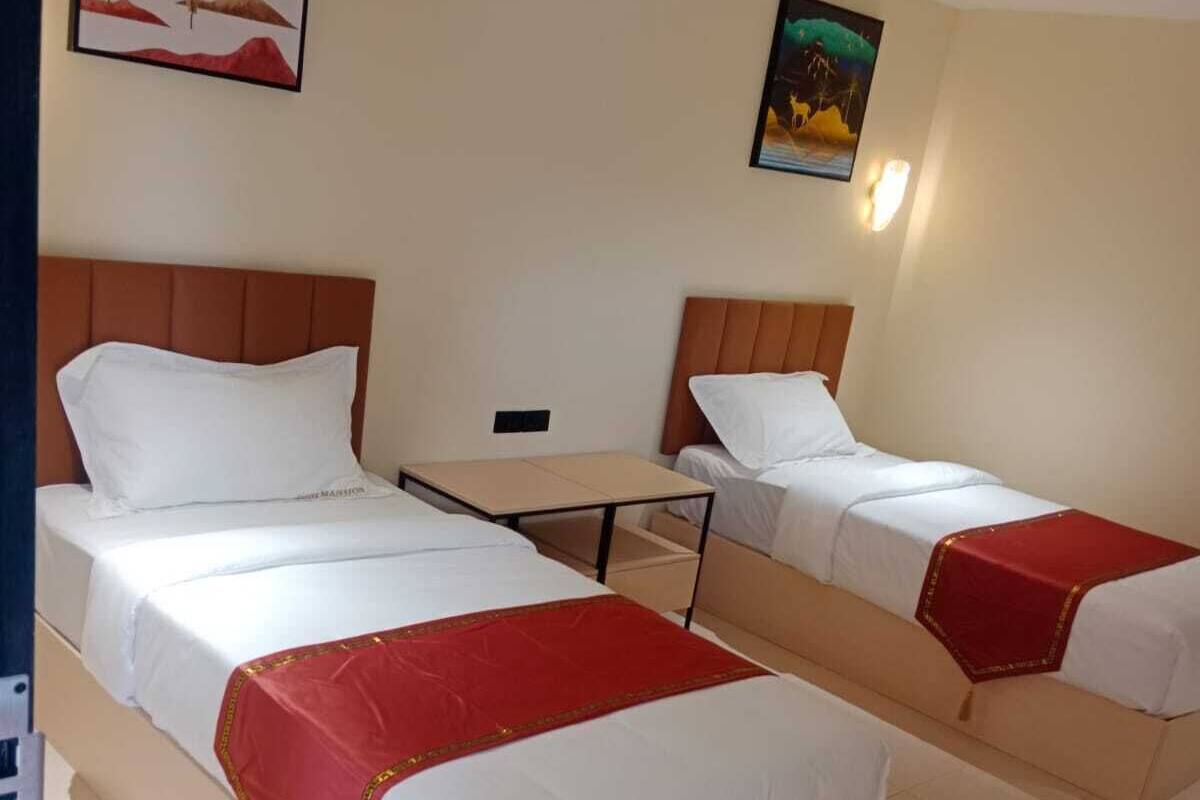 Phòng đôi hoặc 2 giường đơn Deluxe, nhiều giường, không hút thuốc, quang cảnh thành phố