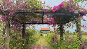 Ein Gartenpfad mit einer hölzernen Pergola, die in Pink blüht, führt zu einem Haus mit rotem Dach.