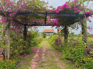 Área da propriedade