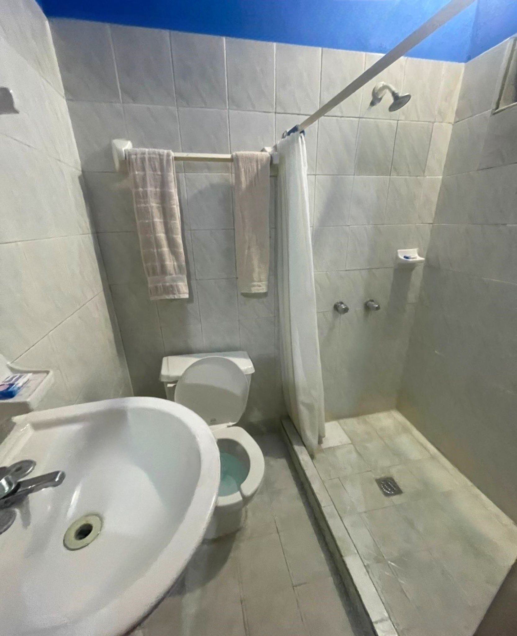 A bathroom with a sink, toilet, and shower.