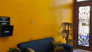Una habitación con un sofá azul, una planta en maceta, un equipo de aire acondicionado y una araña.