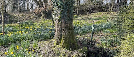 Áreas de la propiedad