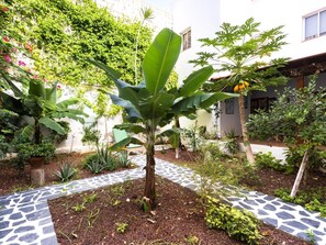 Property grounds - Secret Garden in the heart of Garachico (Garachico)
