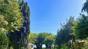 Um jardim com um caminho, árvores altas e uma pequena construção.