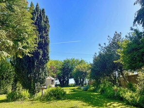 Een tuin met een pad, hoge bomen en een klein gebouw.