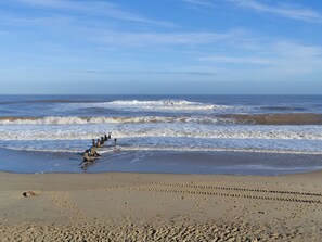 Fishing - 3 bedroom accommodation in Tacolneston (Tacolneston)
