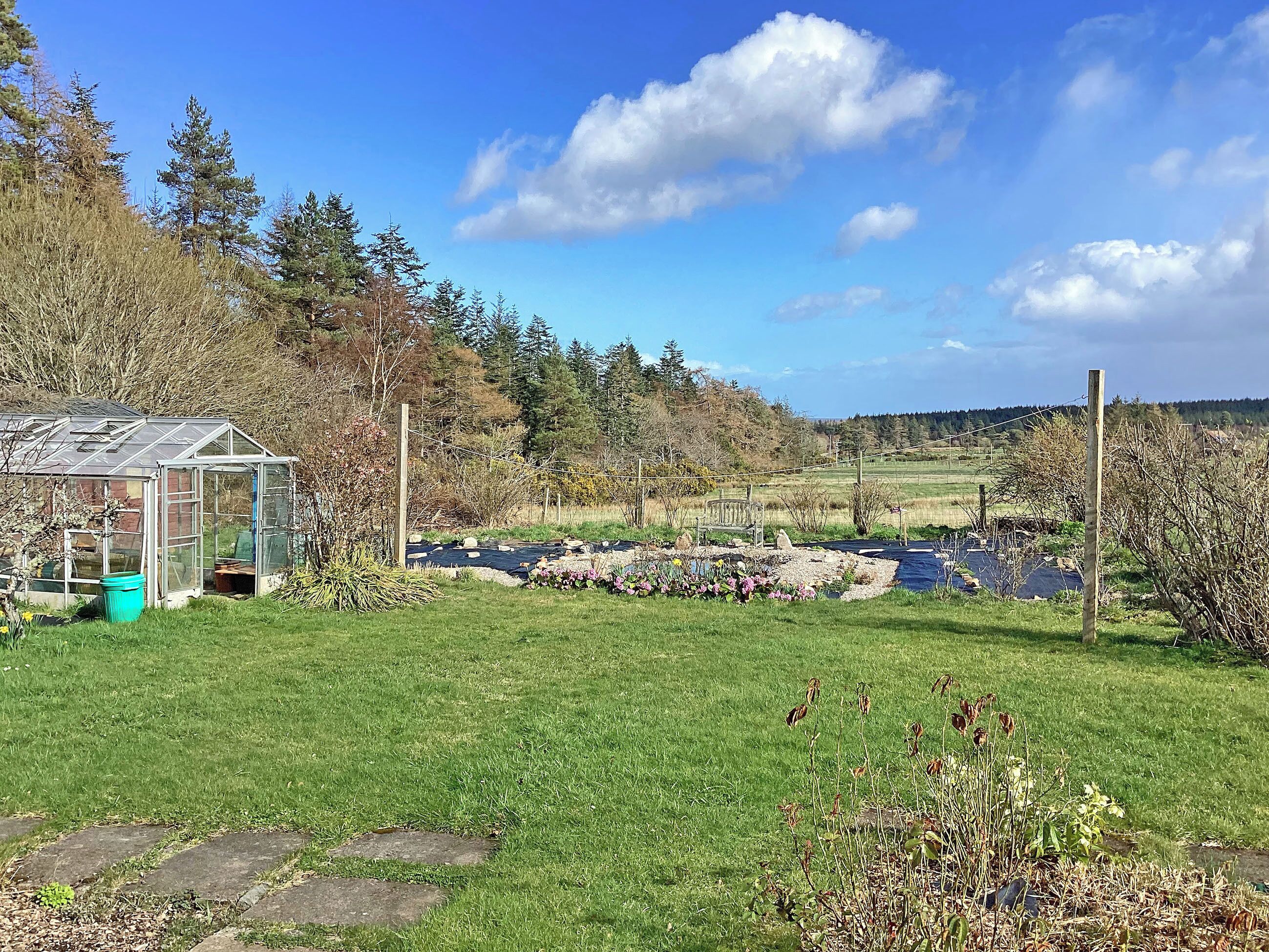 A greenhouse, a grassy field, a bench, and a wooden fence.
