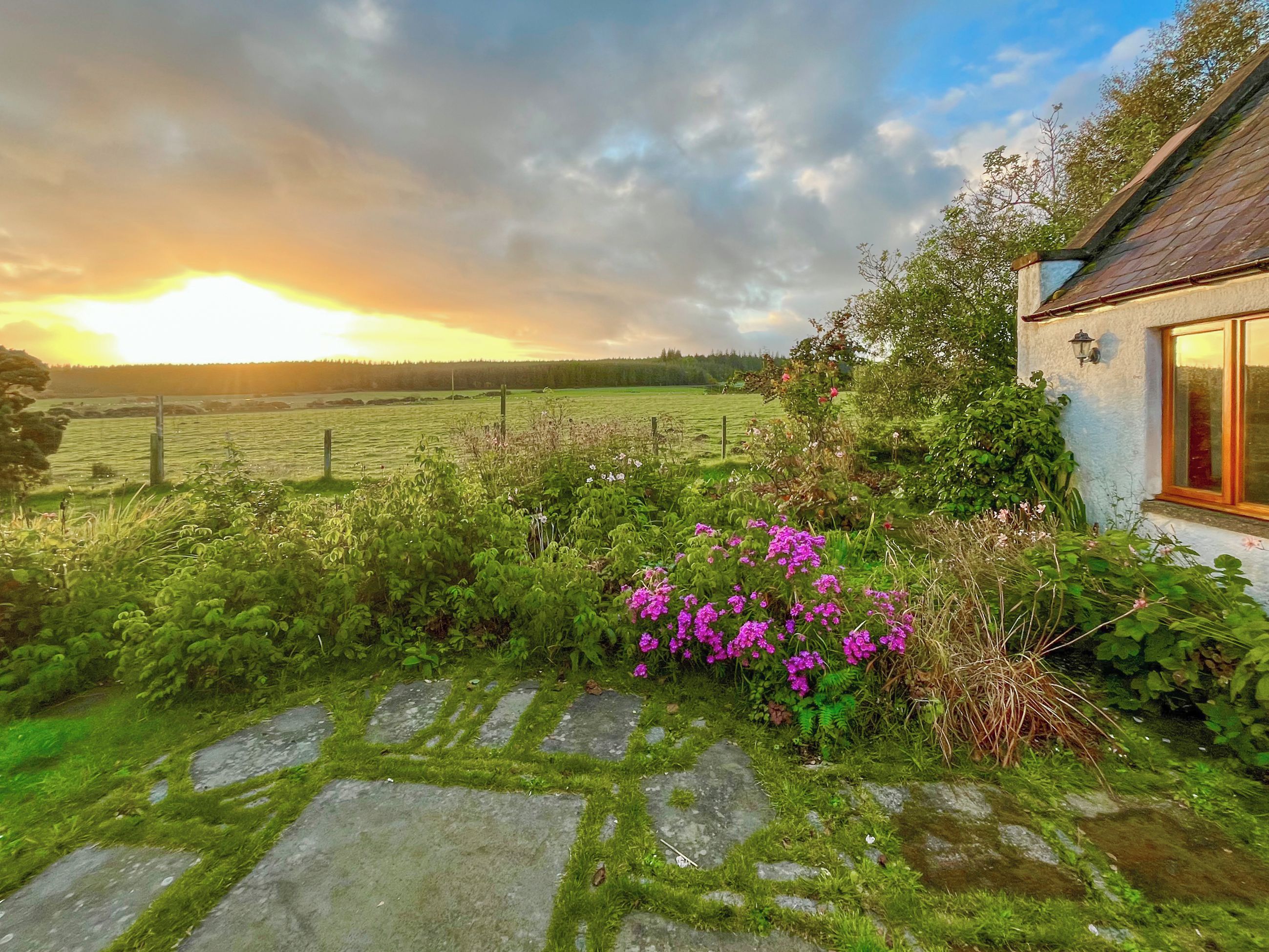 A rural landscape with a stone pathway leading to a house with a window.
