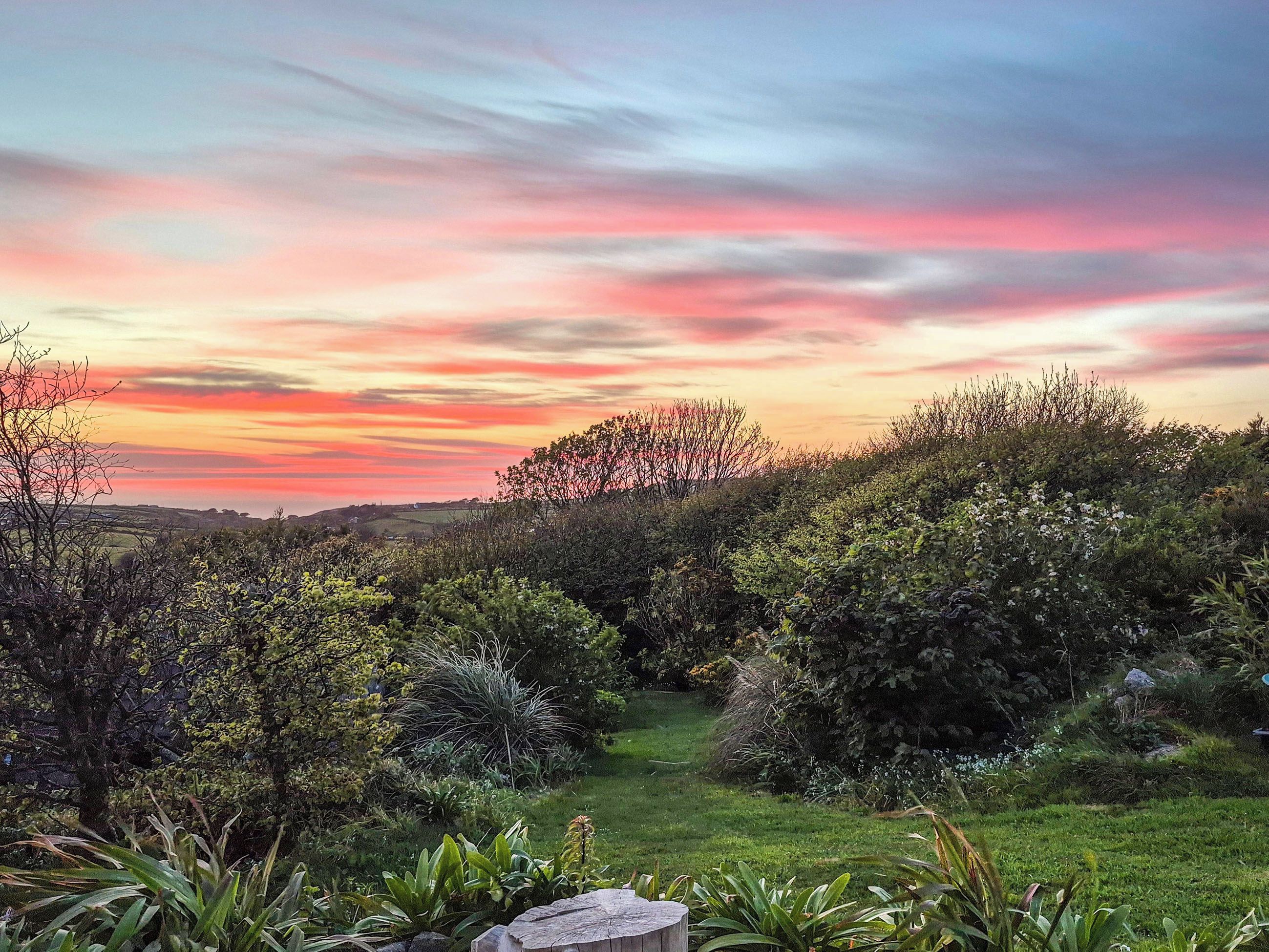 A natural landscape with a variety of vegetation and a clear sky.