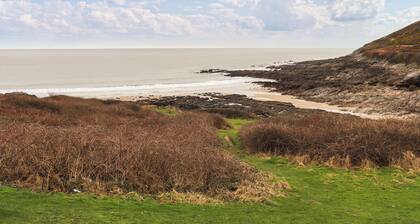 1 bedroom accommodation in Swansea