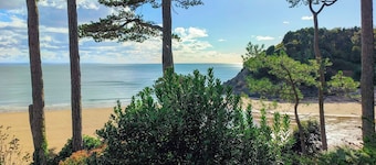 1 soverom innkvartering i Swansea