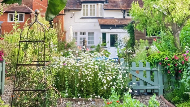 A garden with a variety of plants and flowers, a metal trellis, and a white house with a brick chimney. - 1 bedroom accommodation in Bosbury (Bosbury)
