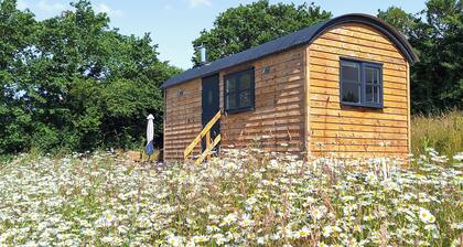 1 bedroom accommodation in Bideford