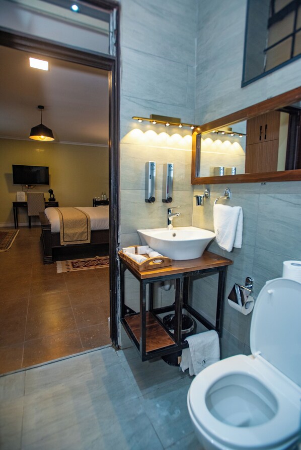 Shower, hair dryer, bidet, towels