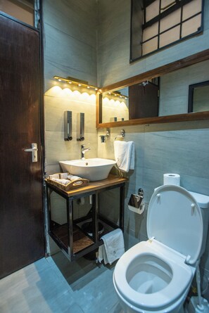 Shower, hair dryer, bidet, towels