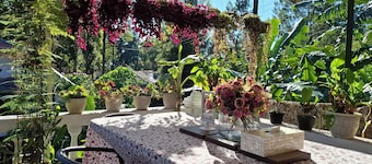 Parabonhaus Kopitiam - Bed & Breakfast