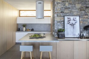 Fridge, oven, stovetop, dishwasher - Seafront Villa Gaione, Divine Sea Views, Private Infinity Pool, Furnished. (Crete)