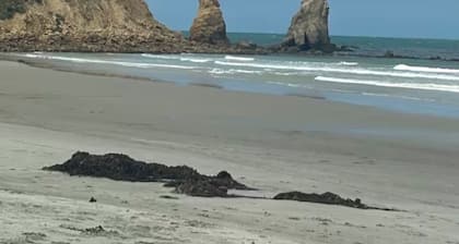 Cosy 2bedroom kiwiana bach on the edge of the estuary