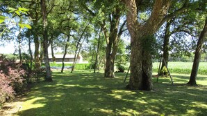 Un parco con alberi alti, una zona erbosa e un edificio sullo sfondo.
