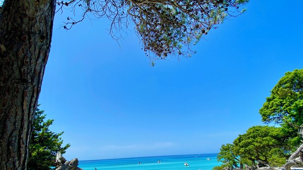 Une plage avec une clôture en bois, un ciel bleu dégagé et une vue sur l’océan.