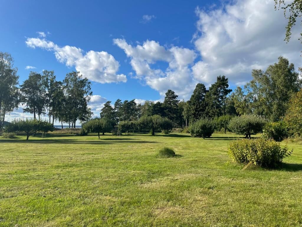 A grassy field with trees and bushes, under a partly cloudy sky.
