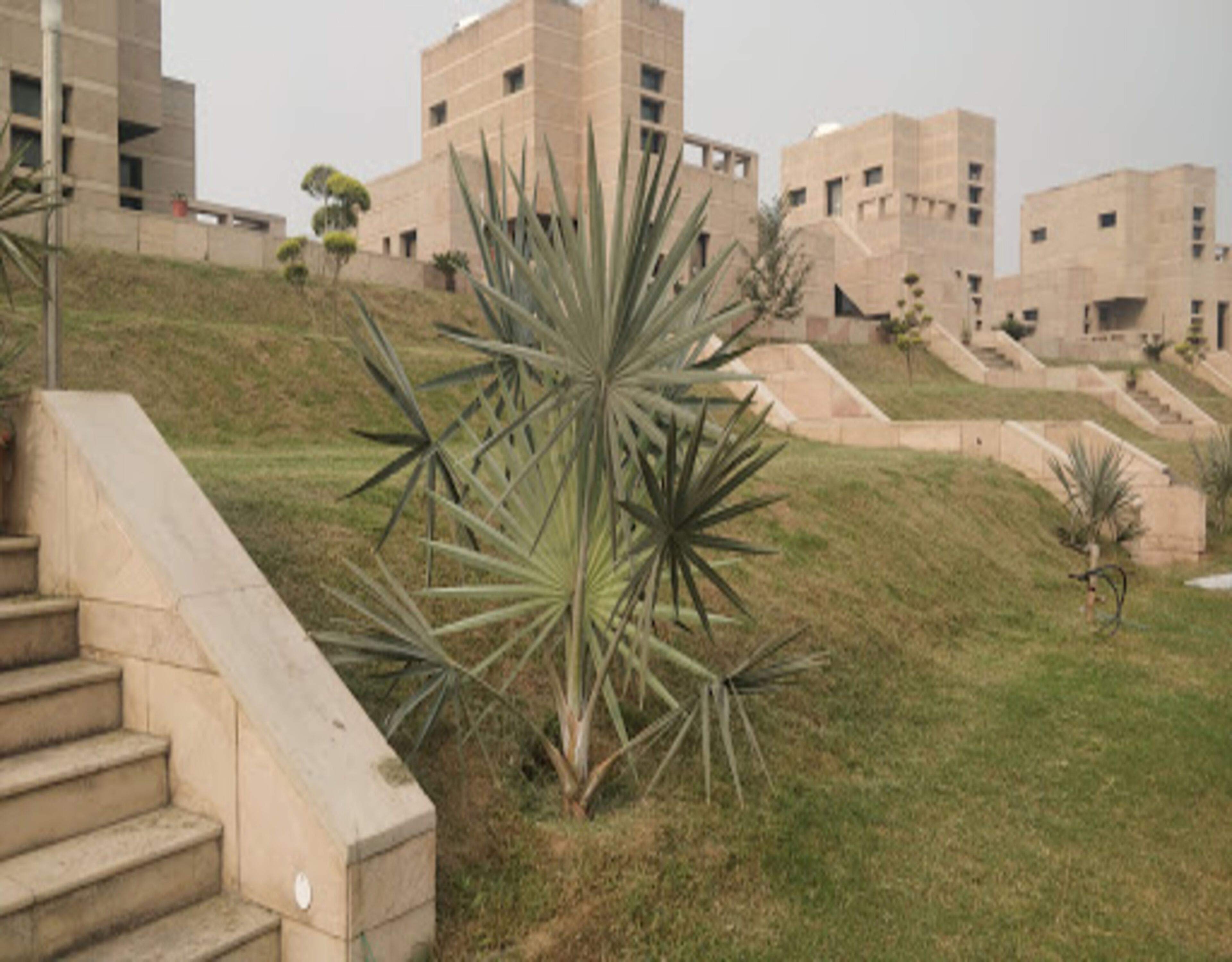 Khuôn viên nơi lưu trú