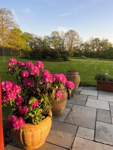 Escape to Nature | Cosy Countryside Stay Near Crondall