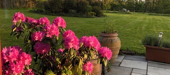 Escape to Nature | Cosy Countryside Stay Near Crondall