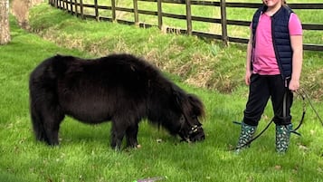 A person standing next to a black dog in a grassy area with a wooden fence in the background.