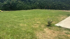 Ein grünes Feld mit einem Betonweg und einem roten Torpfosten.