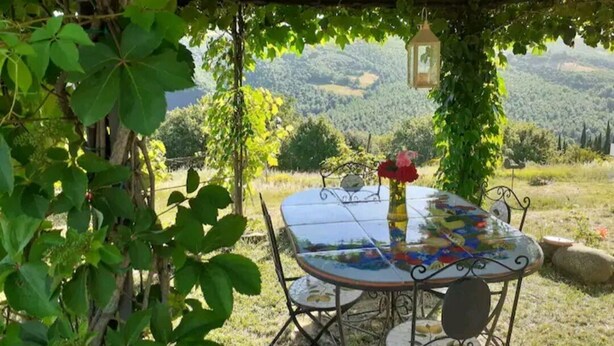 Una mesa de vidrio con sillas de metal, un florero con una flor y un farol bajo una pérgola cubierta de hiedra con vistas a un paisaje boscoso.
