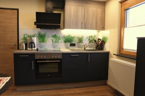 Fridge, oven, stovetop, dishwasher