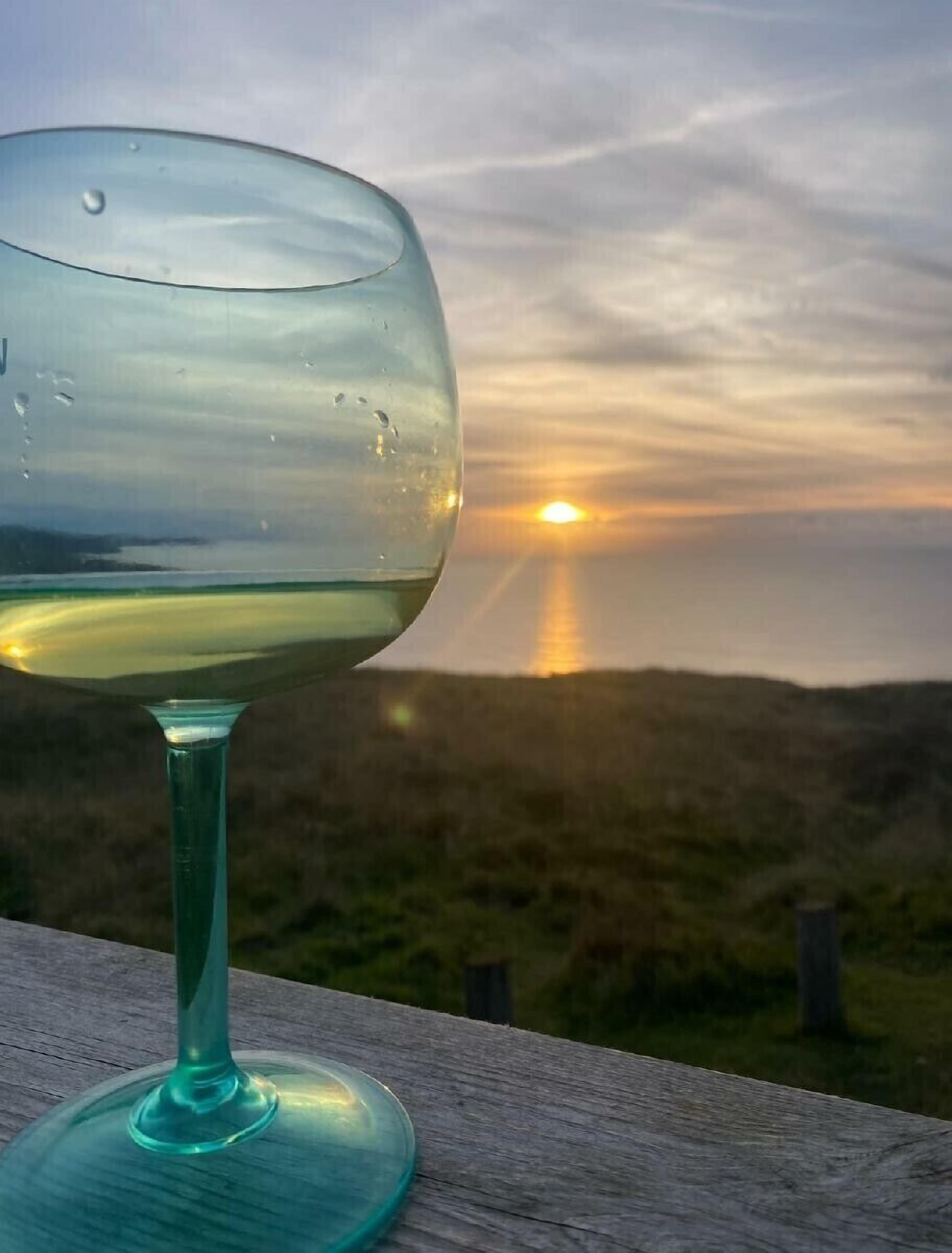 Una copa de vino blanco con gotas de condensación sobre una superficie de madera, con vistas a un atardecer sobre un paisaje de hierba.