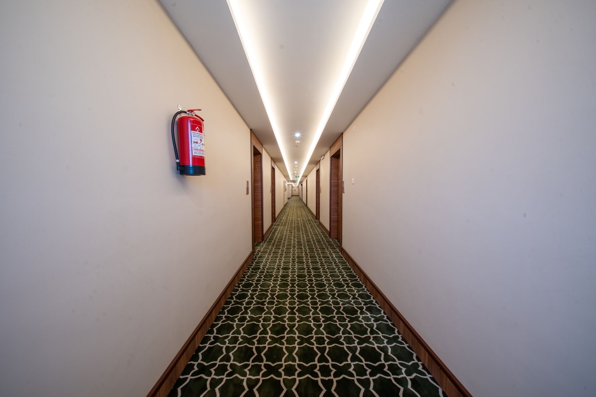 A hallway with a patterned carpet, a fire extinguisher on the wall, and wooden doors.