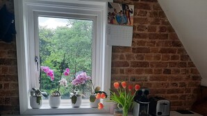 Una cuina amb finestra, plantes en testos i un calendari.