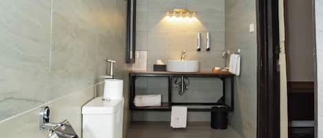Shower, hair dryer, bidet, towels
