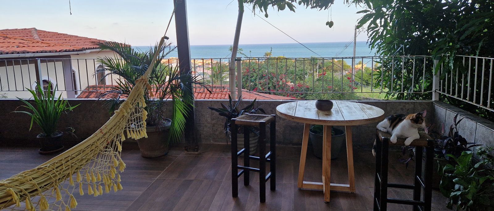 Un balcon avec vue sur la mer, un hamac, des plantes en pot et un chat assis sur un tabouret.