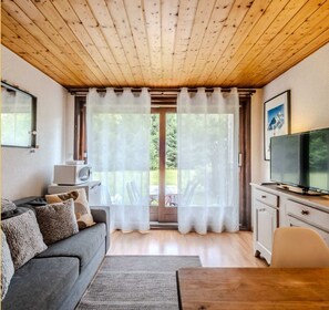 Fernseher