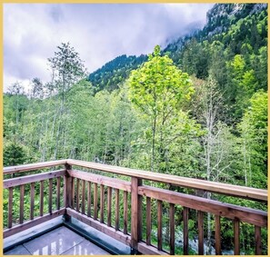 Property grounds - Esperanza I T4 I Morzine (Morzine)