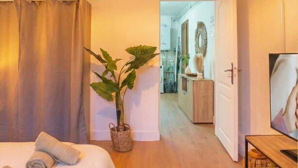 Una habitación de hotel con una cama, una planta en maceta, un aparador de madera y un espejo.