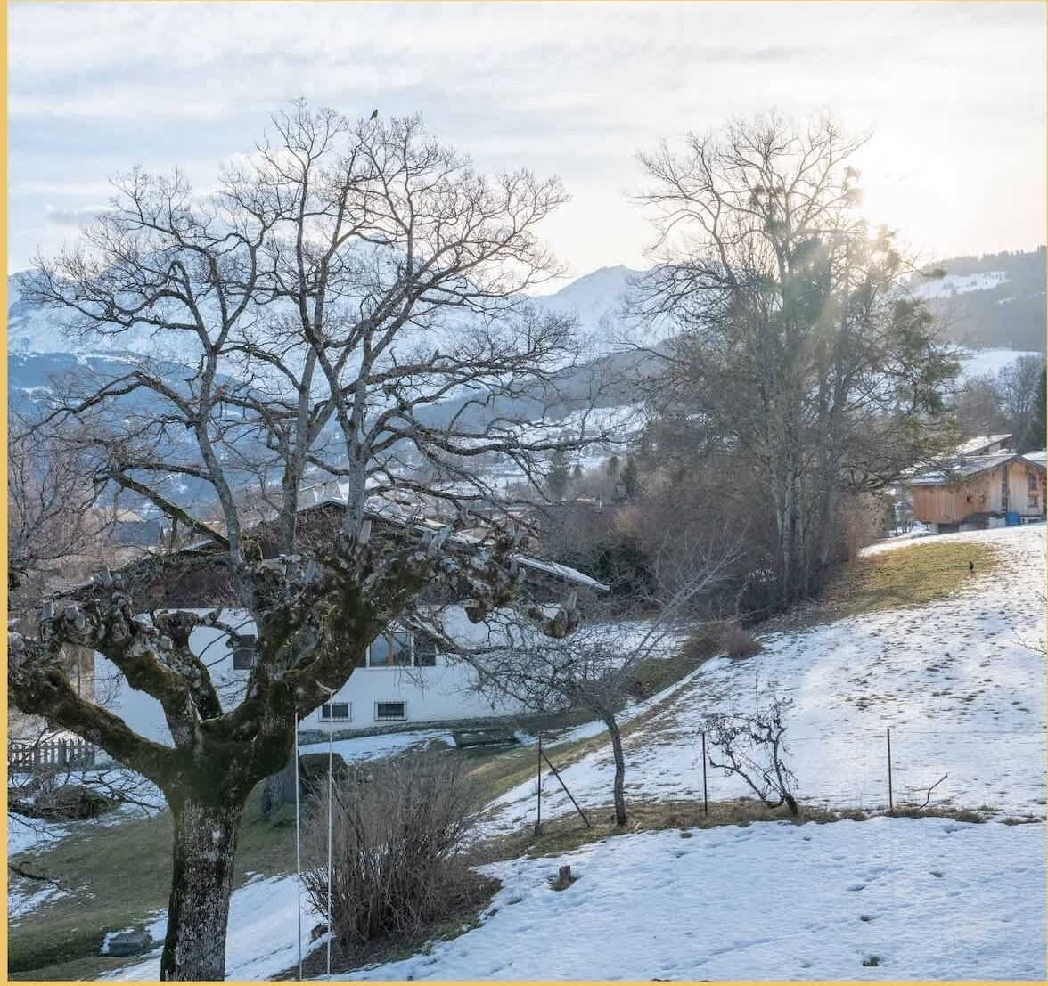 Paisatge rural amb un turó cobert de neu, una casa i un arbre en primer pla.