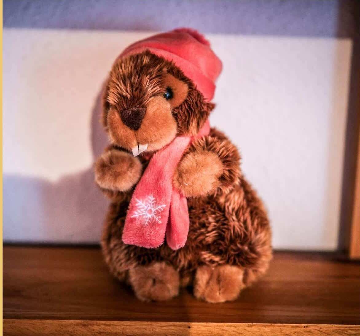 Un jouet en peluche portant un chapeau et une écharpe rouges.